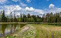 1-этажный коттедж 254 м² с отделкой
