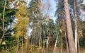 Участок 134 сот. в охраняемом поселке