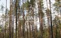 Участок 18 сот.