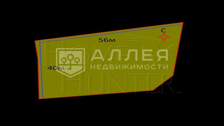 Планировка 1