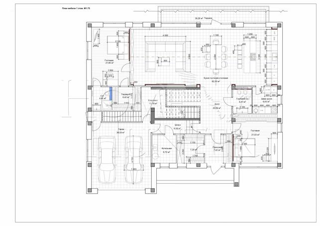 Планировка 1