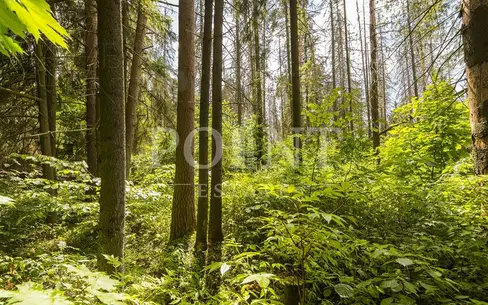 Участок 50 сот. в охраняемом поселке