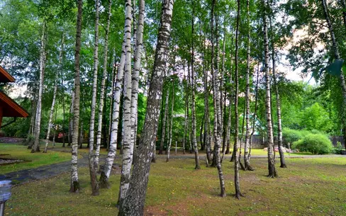 2-этажный коттедж 328 м² без отделки