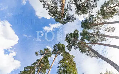 Участок 20 сот.