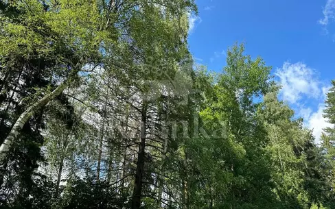 Участок 11 сот. в охраняемом поселке