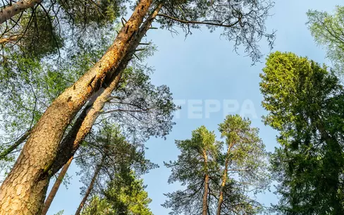 Участок 30 сот. в охраняемом поселке