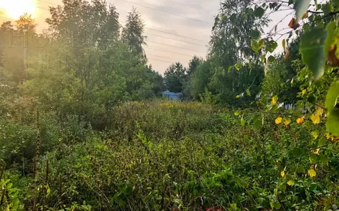 Участок 22 сот.