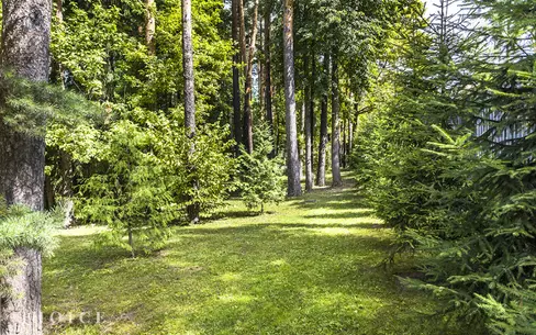 Участок 43.5 сот. в охраняемом поселке