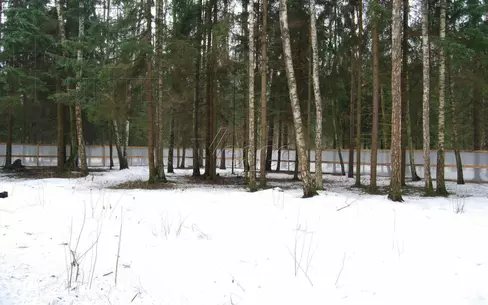 Участок 49.8 сот.