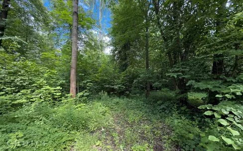 Участок 125 сот.