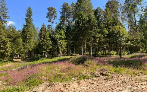 Участок 360 сот. в охраняемом поселке
