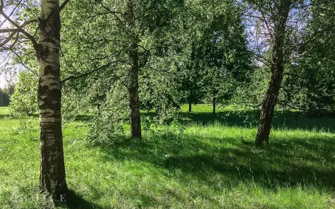 Участок 33 сот.