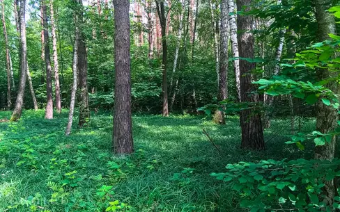 Участок 18.5 сот. в охраняемом поселке