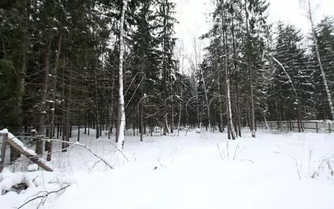 Участок 49.8 сот.