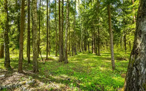 Участок 83.4 сот. в охраняемом поселке