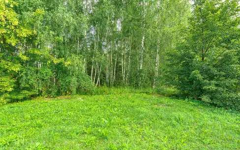 Участок 53.5 сот.