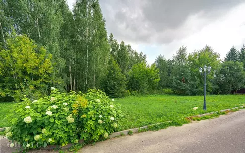 Участок 53.5 сот.