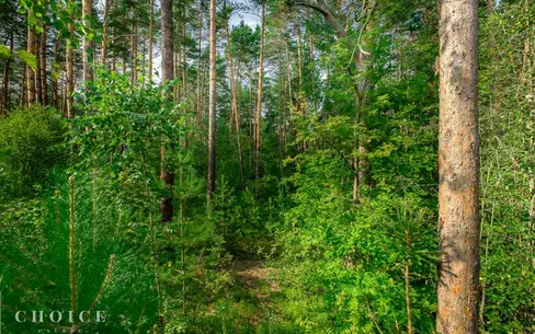 Участок 49.8 сот. в охраняемом поселке