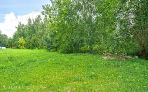 Участок 53.5 сот.