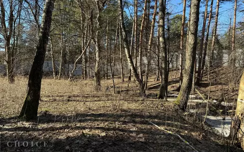 Участок 25 сот.