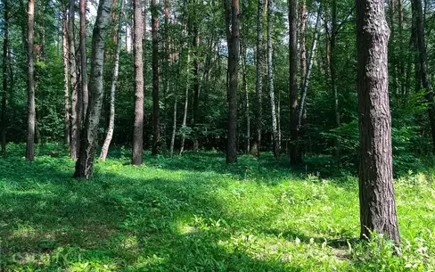 Участок 18.5 сот. в охраняемом поселке
