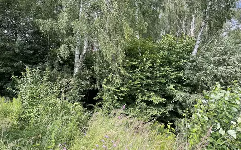 Участок 118.64 сот.
