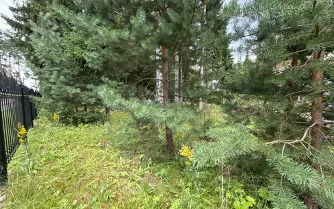 Участок 18.5 сот. в охраняемом поселке