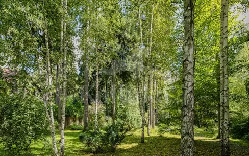 Участок 25 сот.