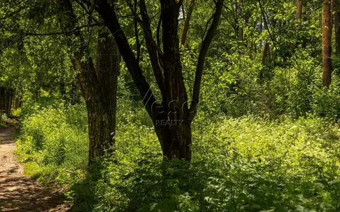 Участок 285.6 сот.
