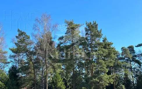 Участок 75.38 сот. в охраняемом поселке