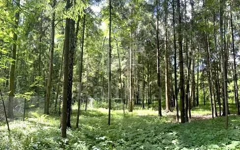 Участок 292.29 сот. в охраняемом поселке