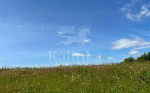 Участок 7 150 сот.