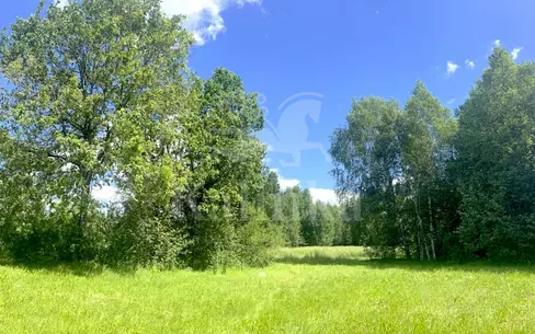 Участок 392.29 сот. в охраняемом поселке