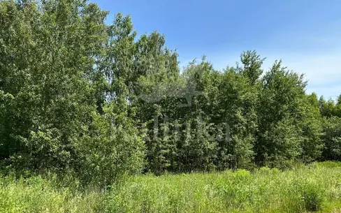 Участок 7 150 сот.