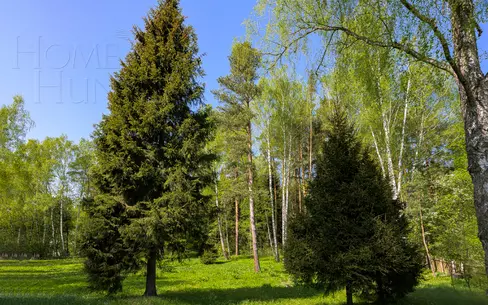 Участок 12 сот.