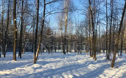 Участок 120.6 сот.