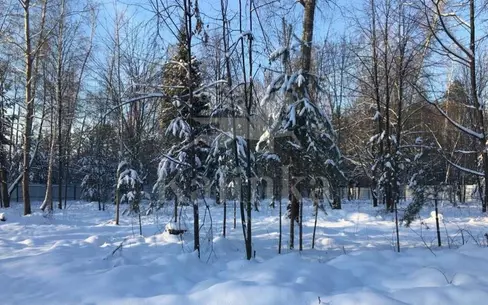 Участок 120.6 сот.