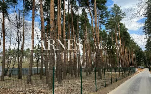 Участок 19 сот.