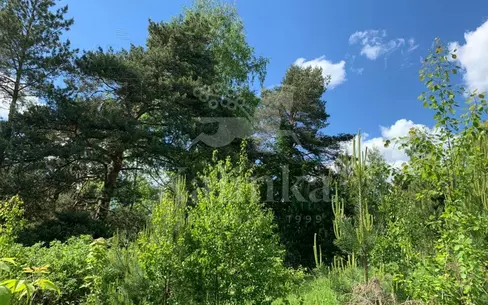 Участок 60 сот. в охраняемом поселке