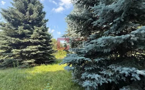 Участок 101.52 сот. в охраняемом поселке