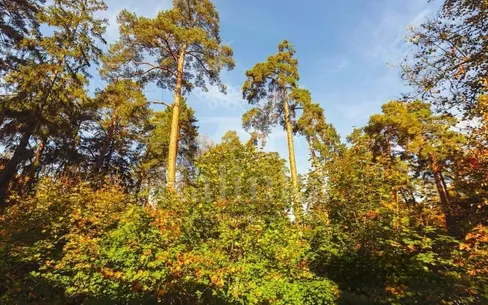 Участок 25 сот. в охраняемом поселке