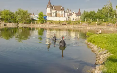 Участок 24 сот. в охраняемом поселке