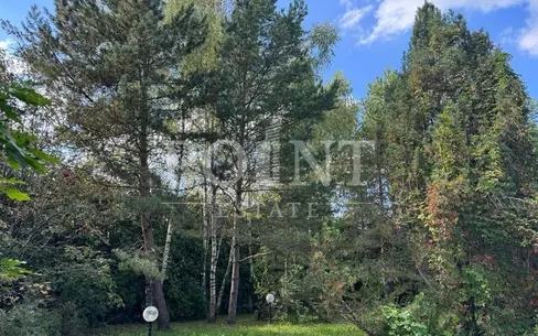 Участок 39.05 сот.