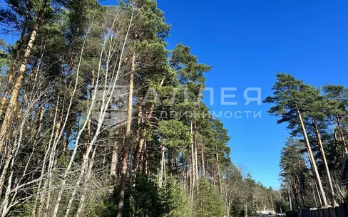 Участок 50 сот. в охраняемом поселке