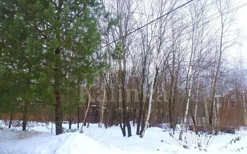 Участок 31 сот.