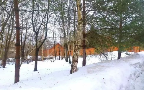 Участок 31 сот.