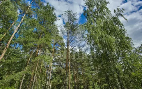 2-этажный коттедж 740 м² без отделки