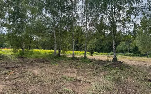 Участок 20 сот.