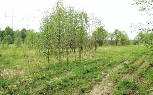 Участок 15 200 сот.