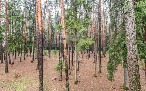 2-этажный коттедж 704 м² без отделки